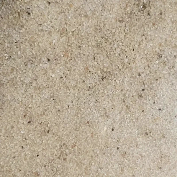 Triops eggs are shipped in a bag with sand