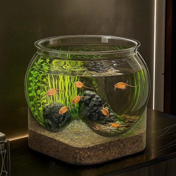 Petit aquarium rond en polyéthylène (PE) ultra transparent, résistant aux chocs et aux rayures